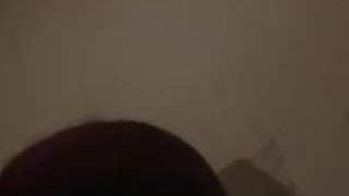 lilladynice