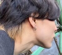 spider_jp