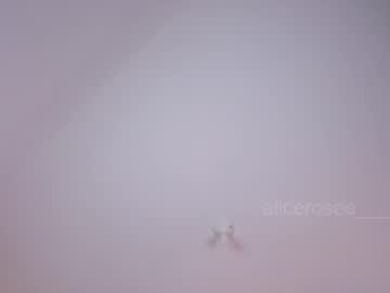 alicerosee___