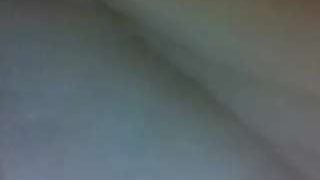 amberboo96