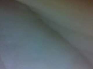 amberboo96