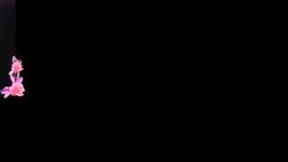 coraldockum