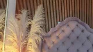 vaiolet-hot