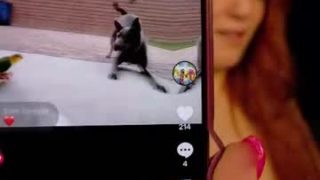 angeldeluca
