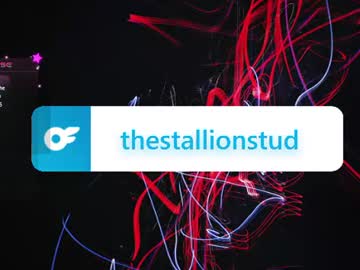 thestallionstud